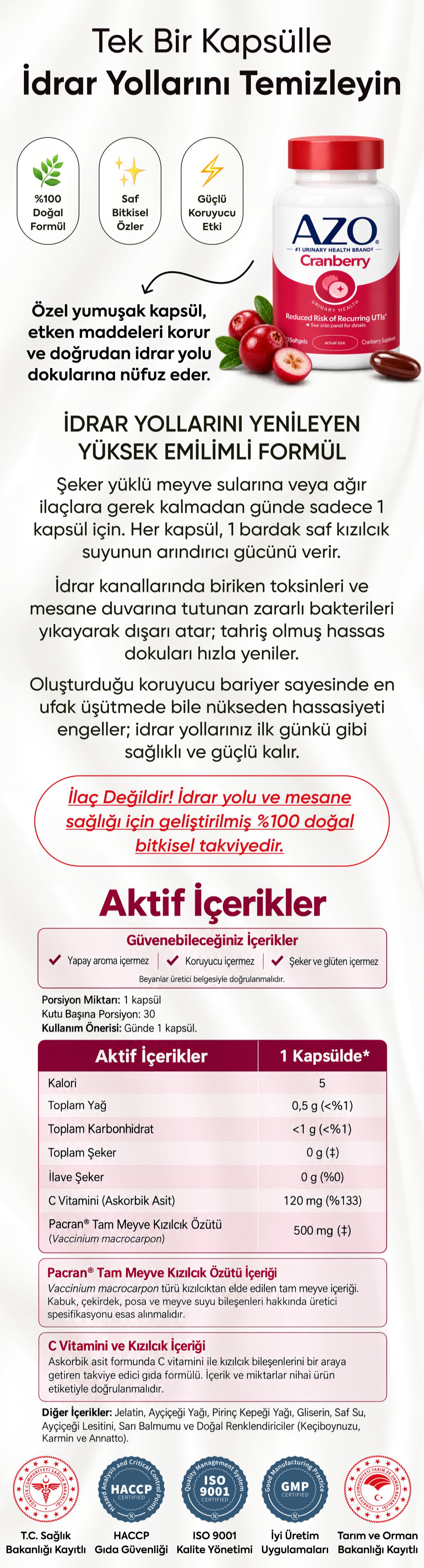 Promotional Imasge 1