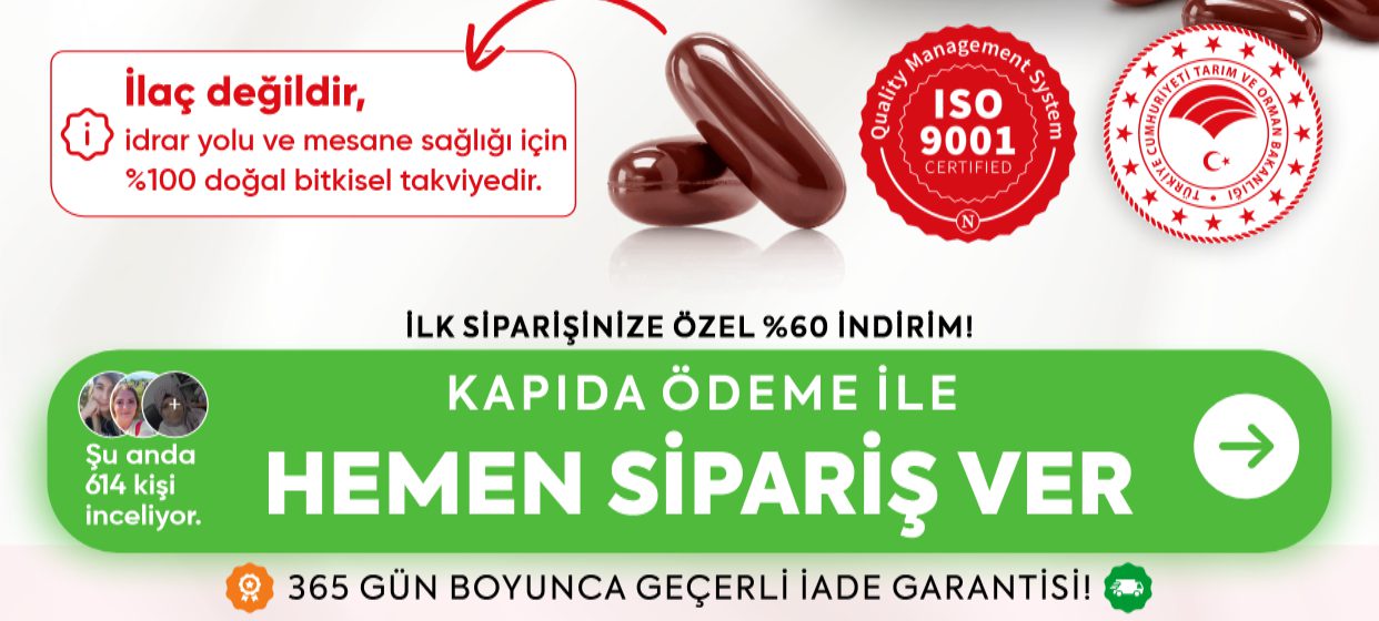 Promotional Imasge 1